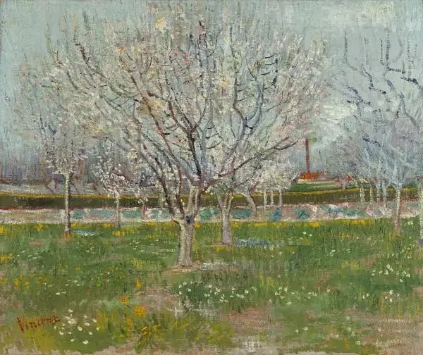 Frugthave i blomst - Vincent van Gogh