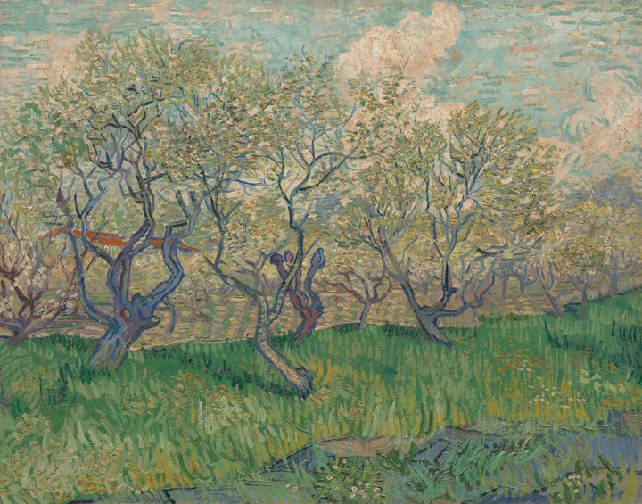 Frugthave i blomst, F511 - Vincent van Gogh