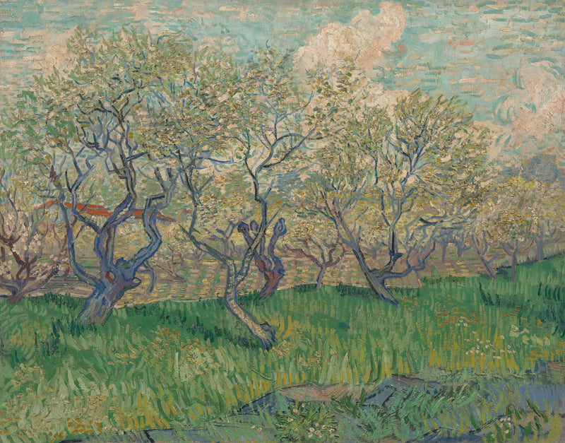 Frugthave i blomst - Vincent van Gogh