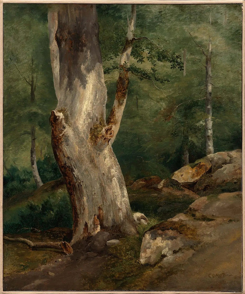 Gamle bøg - Jean-Baptiste Camille Corot