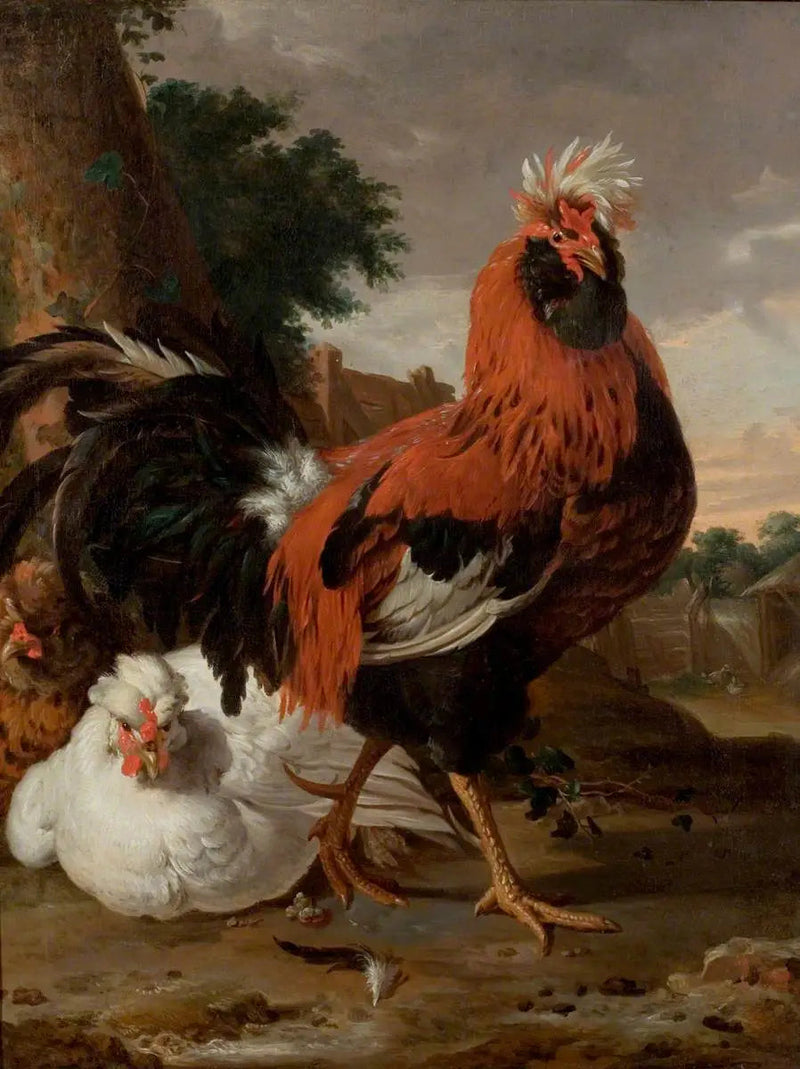 Fjerkræ - Melchior de Hondecoeter