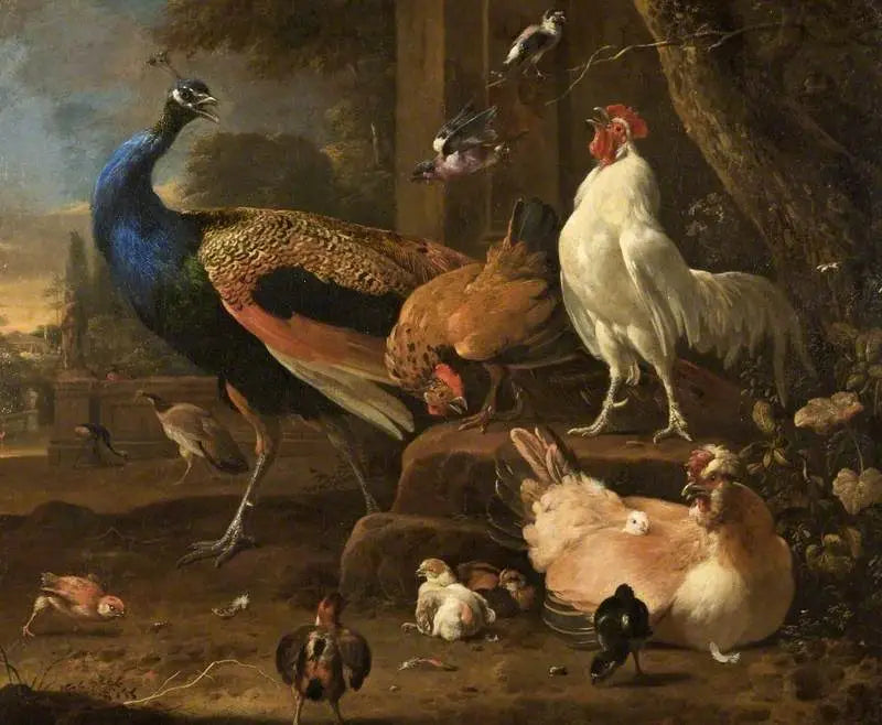 Fjerkræ - Melchior de Hondecoeter