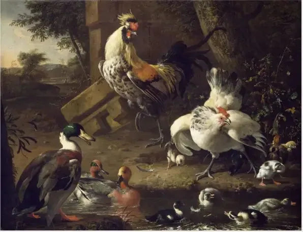 Fjerkræ - Melchior de Hondecoeter