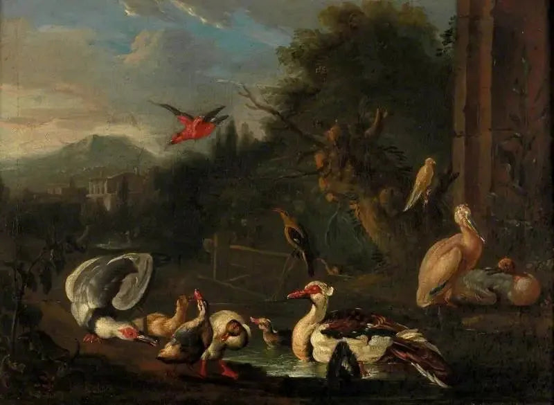 Fjerkræ - Melchior de Hondecoeter