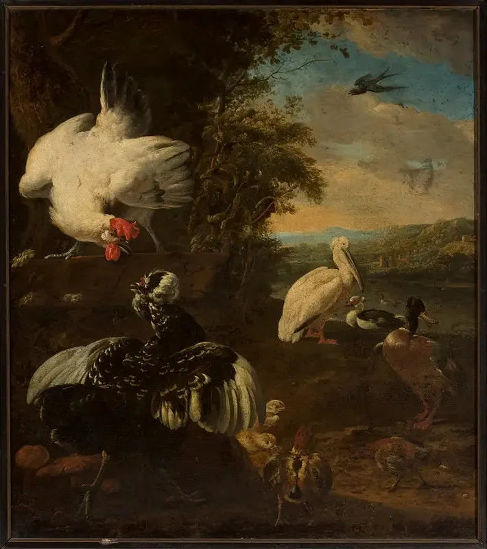 domestikke fugle - Melchior de Hondecoeter