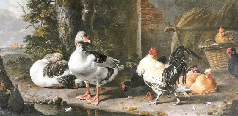 Fjerkræ og ænder - Melchior de Hondecoeter