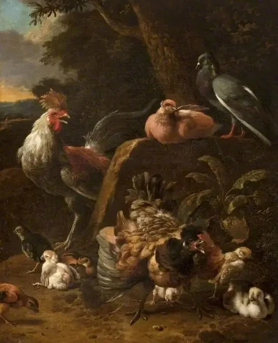 Fjerkræ og duer - Melchior de Hondecoeter
