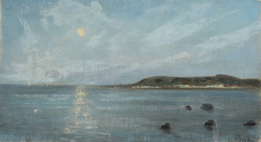 Udsigt over havet i måneskin. - Michael Peter Ancher