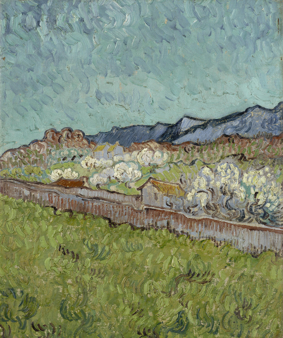 Udsigt over Alpilles - Vincent van Gogh