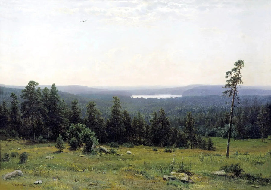 Fjerne udsigter over skoven - Ivan Chichkine