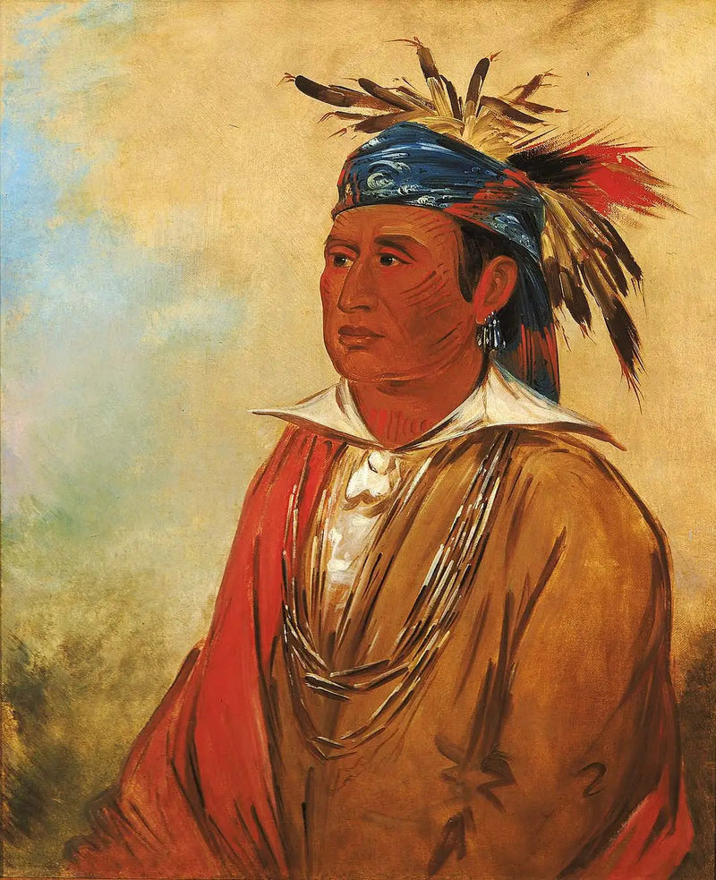Wah-pón-jee-a, Svanen, en Kriger - George Catlin
